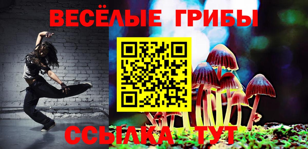 Мытищи  Псилоцибиновые грибы Psilocybe  Вход с VPN  Галлюциногенные грибы прущие грибы 