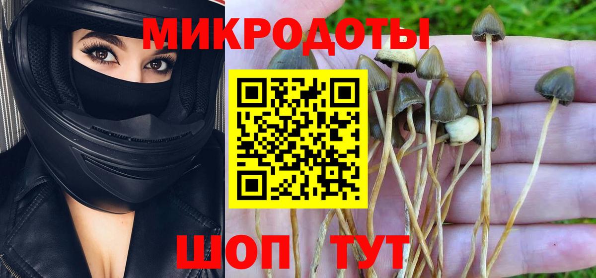 Галлюциногенные грибы прущие грибы Мытищи